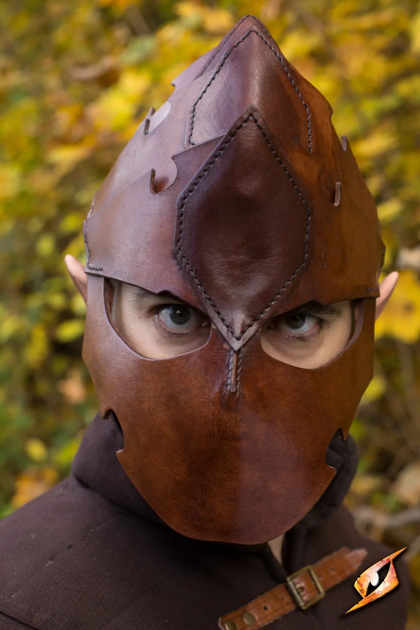 Assassin Helmet