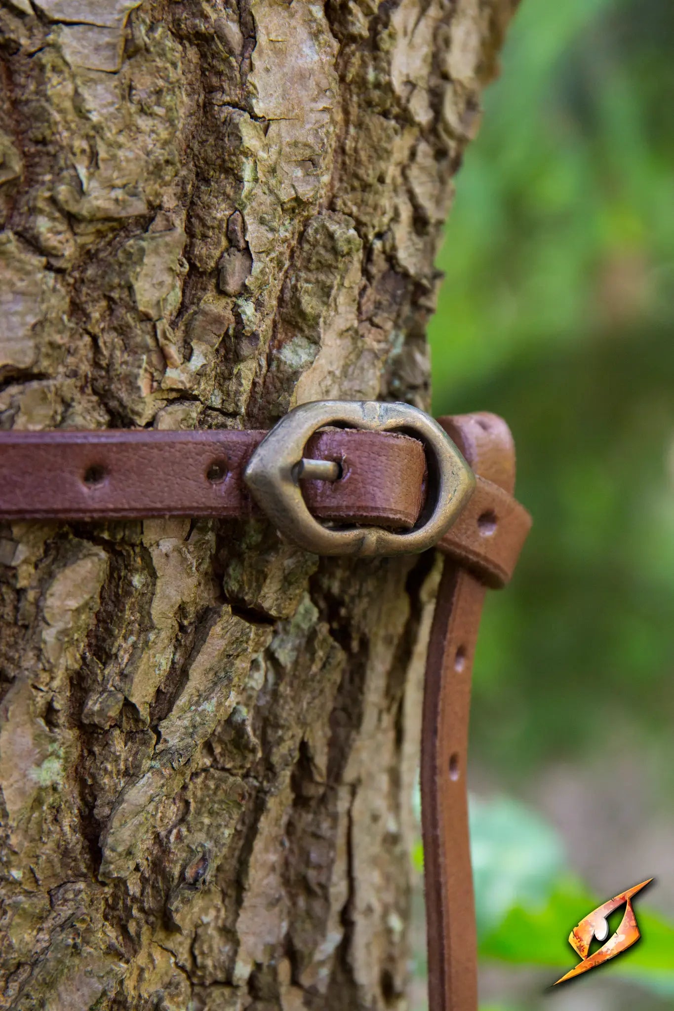 Belt Godfrey handcrafted leather belt secured around a tree trunk showcasing its brass buckle and brown vegetable-tanned leather.
