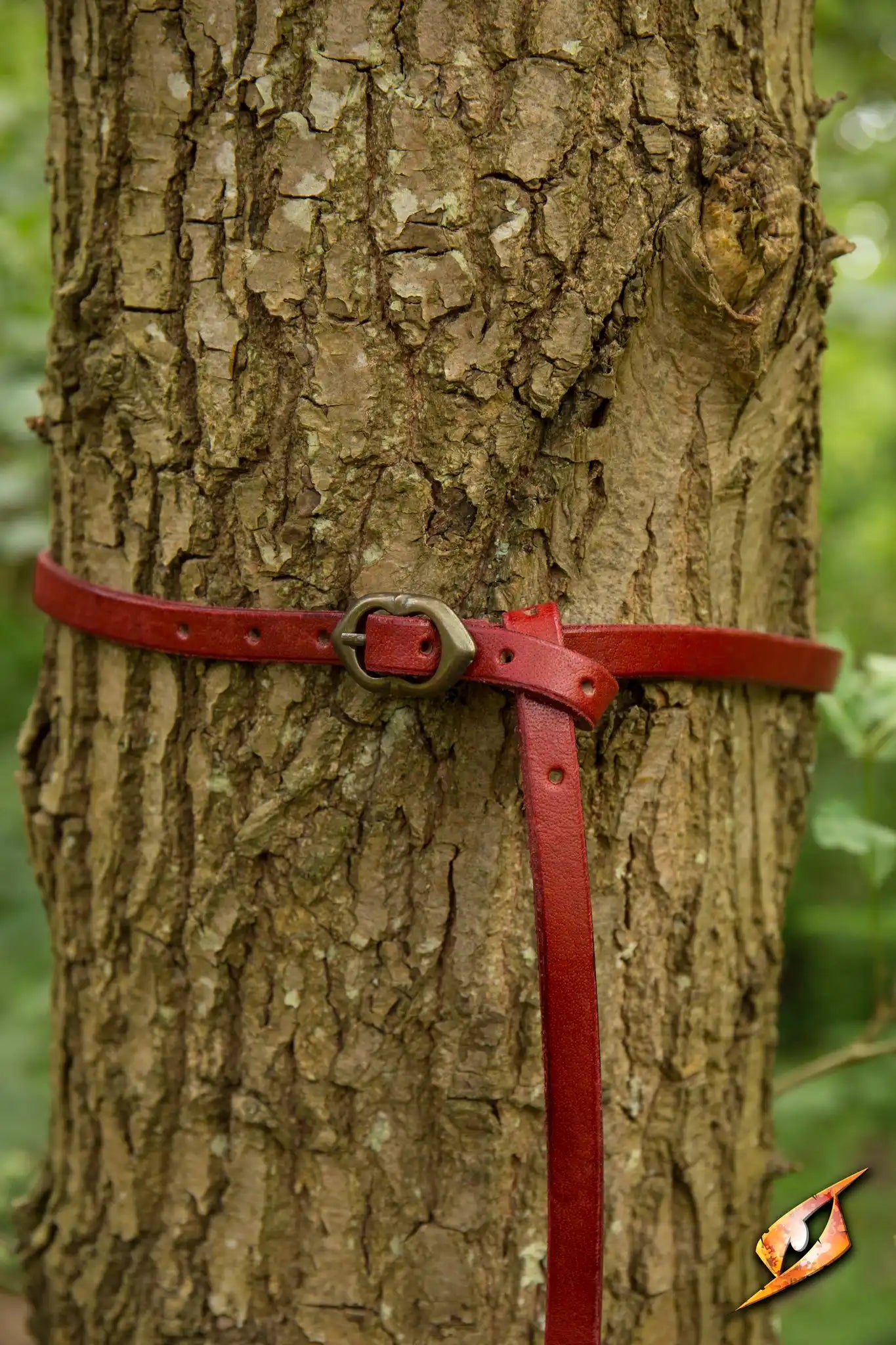 Belt Godfrey tied around a tree trunk showcasing the handcrafted leather and brass fittings.