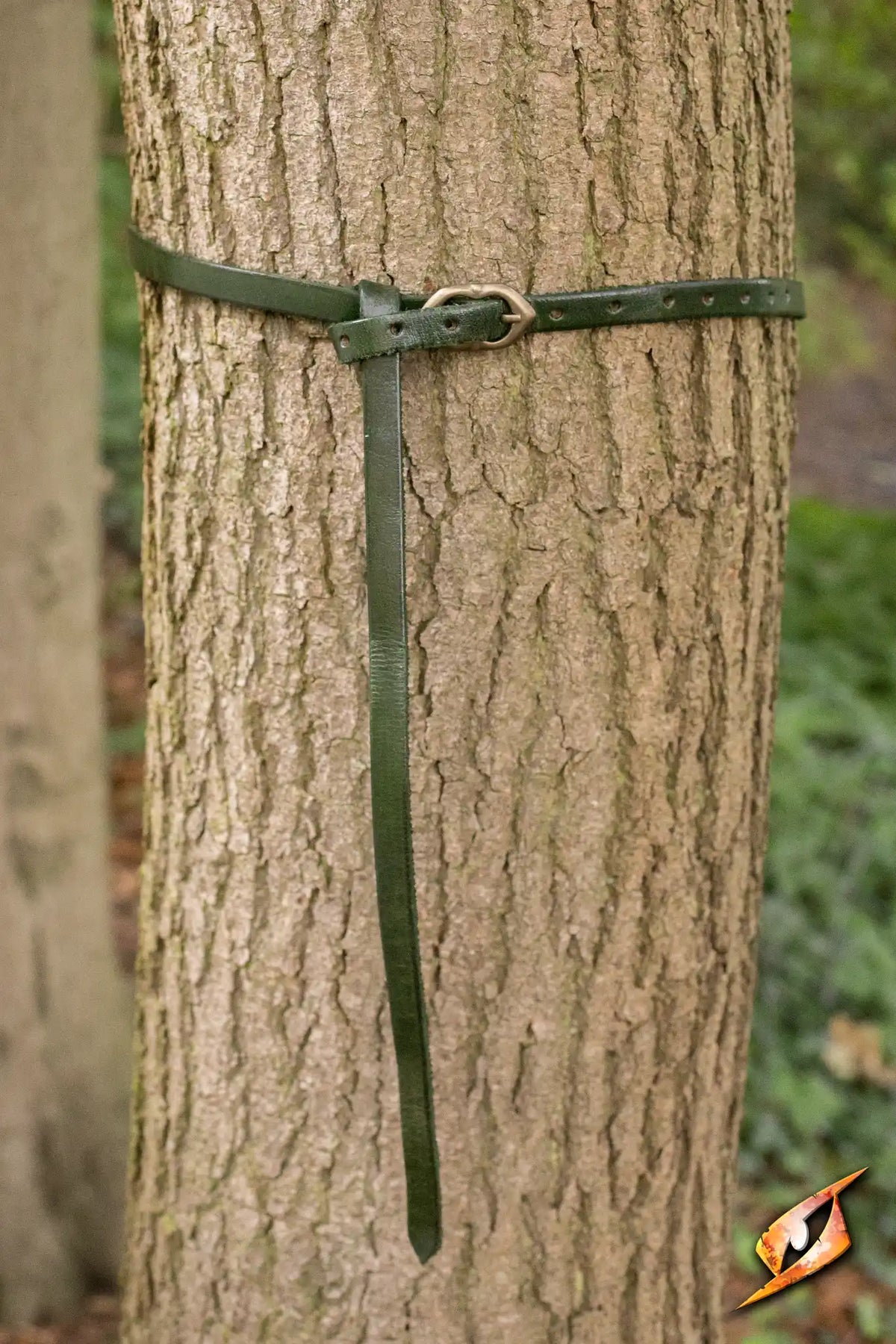 Belt Godfrey handcrafted leather belt wrapped around a tree trunk in a natural setting.