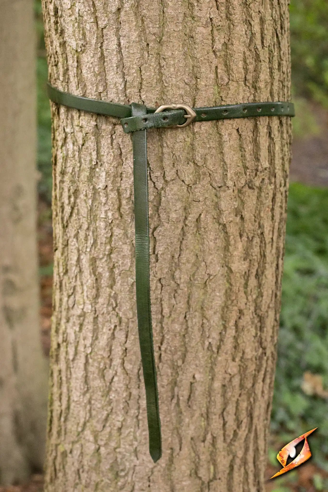 Belt Godfrey handcrafted leather belt wrapped around a tree trunk in a natural setting.