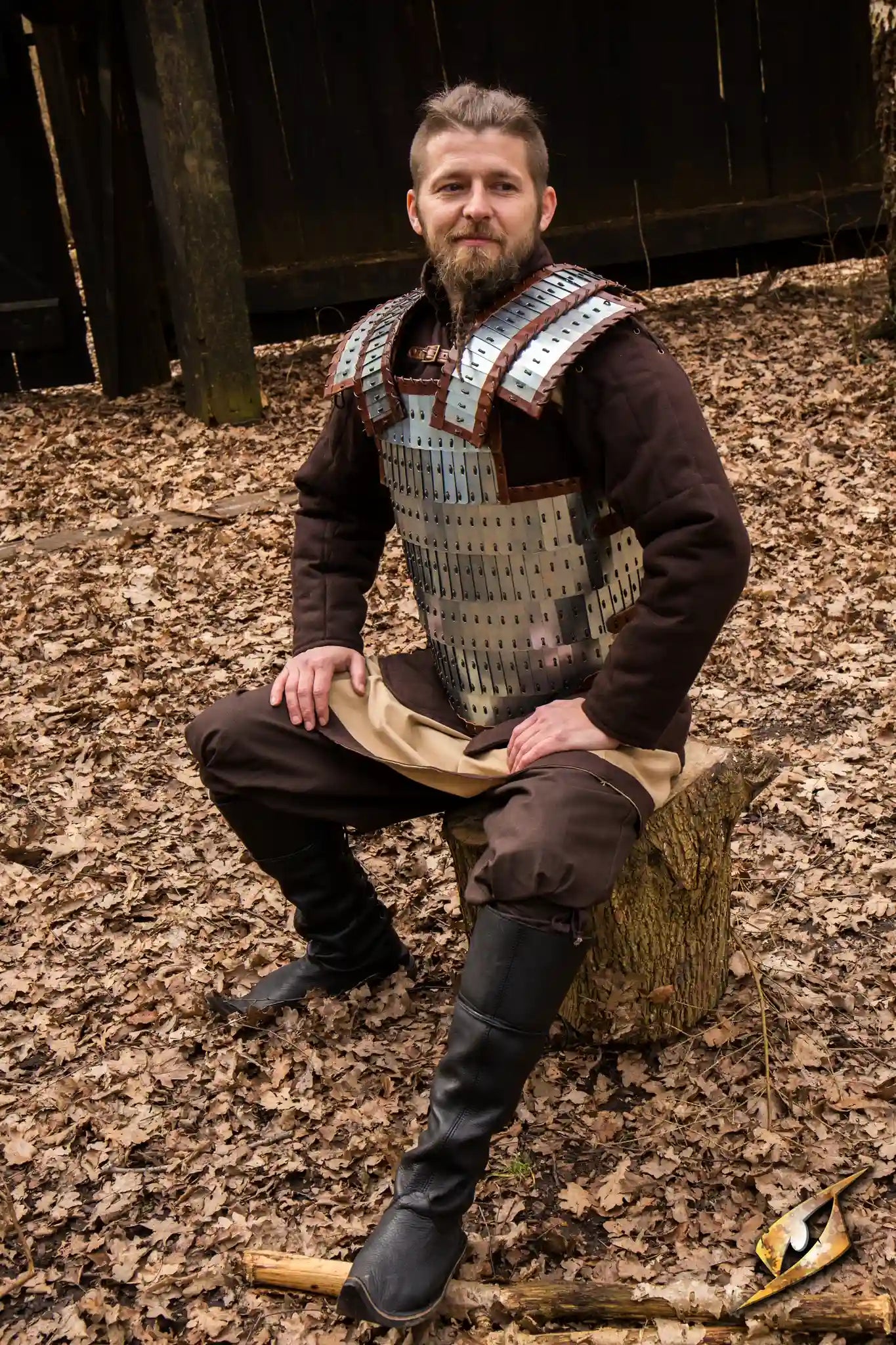 Viking Armour