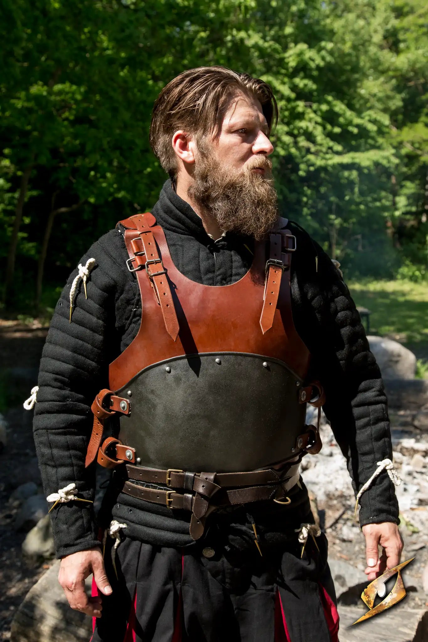 Rogue Complete Armour