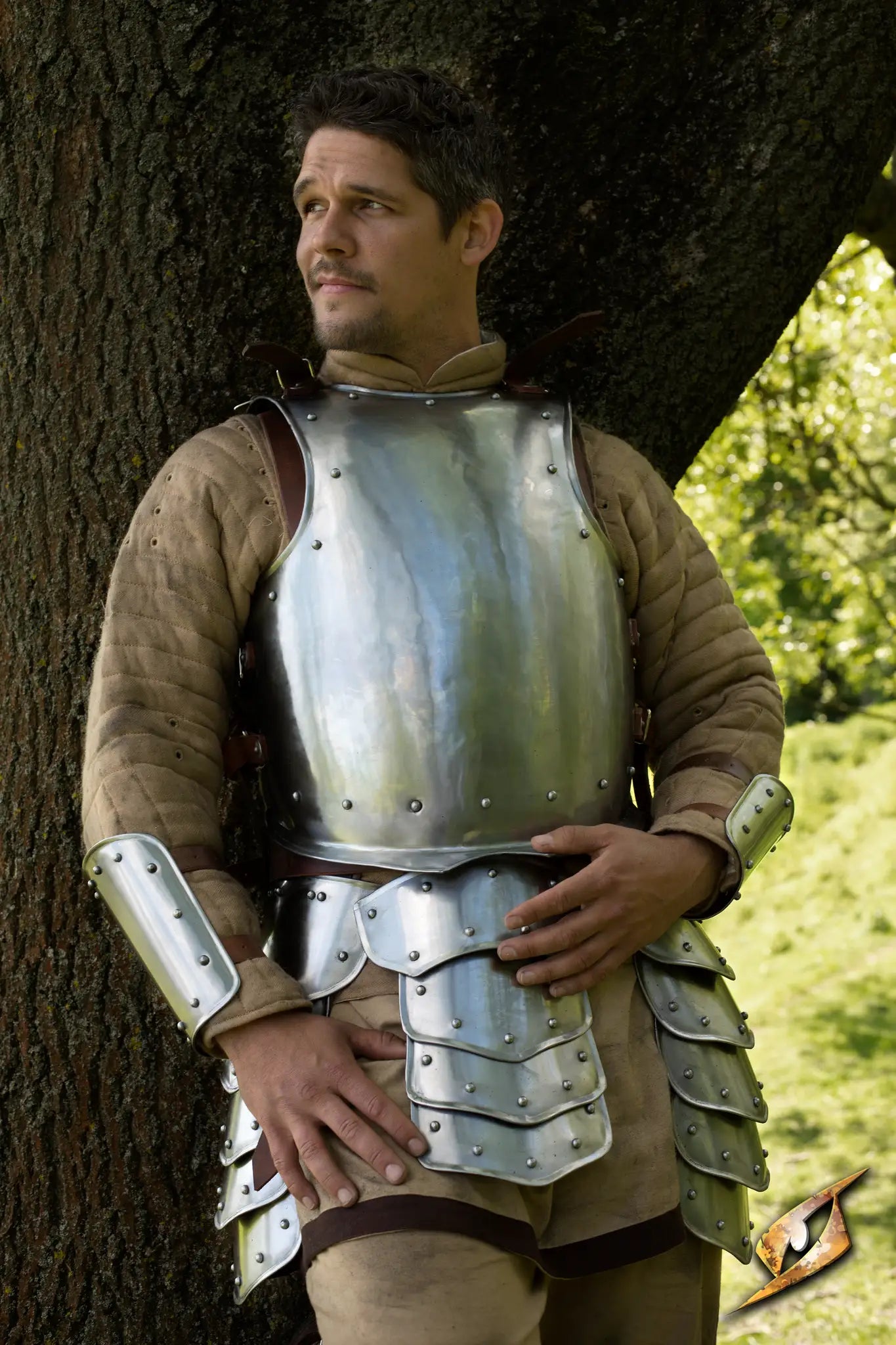 Warrior Complete Armour