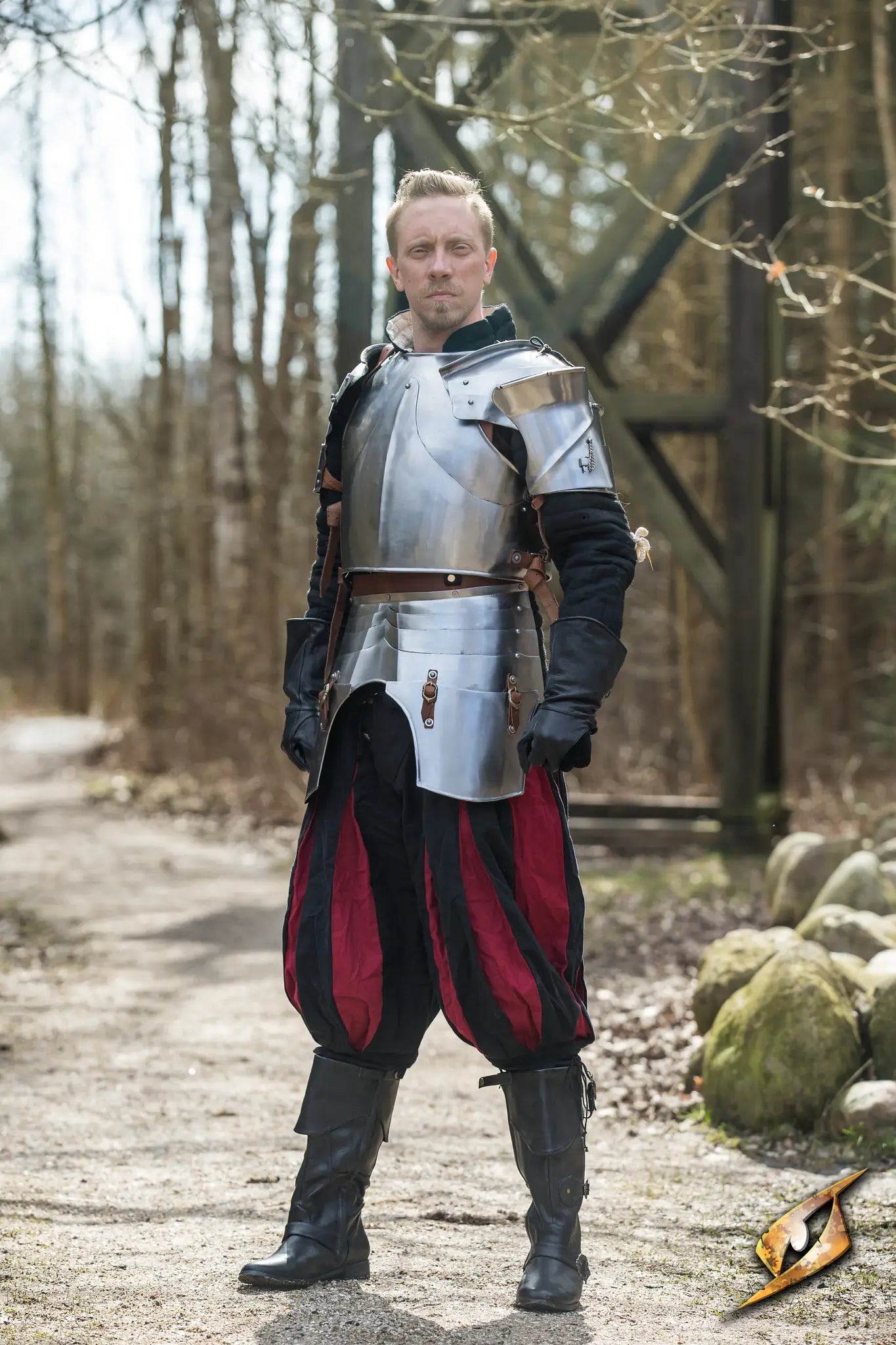 Milanese Complete Armour