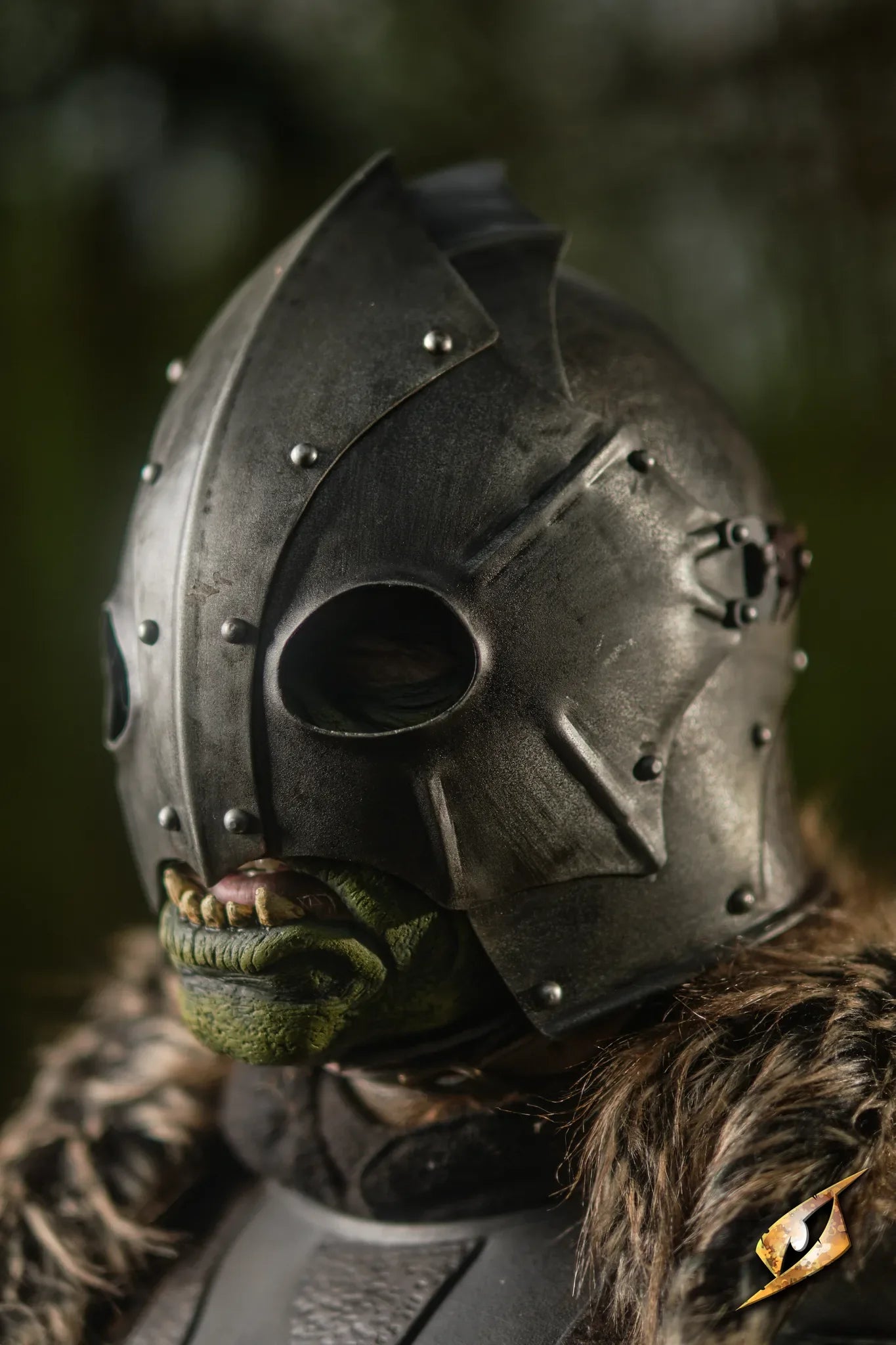 Raider Complete set