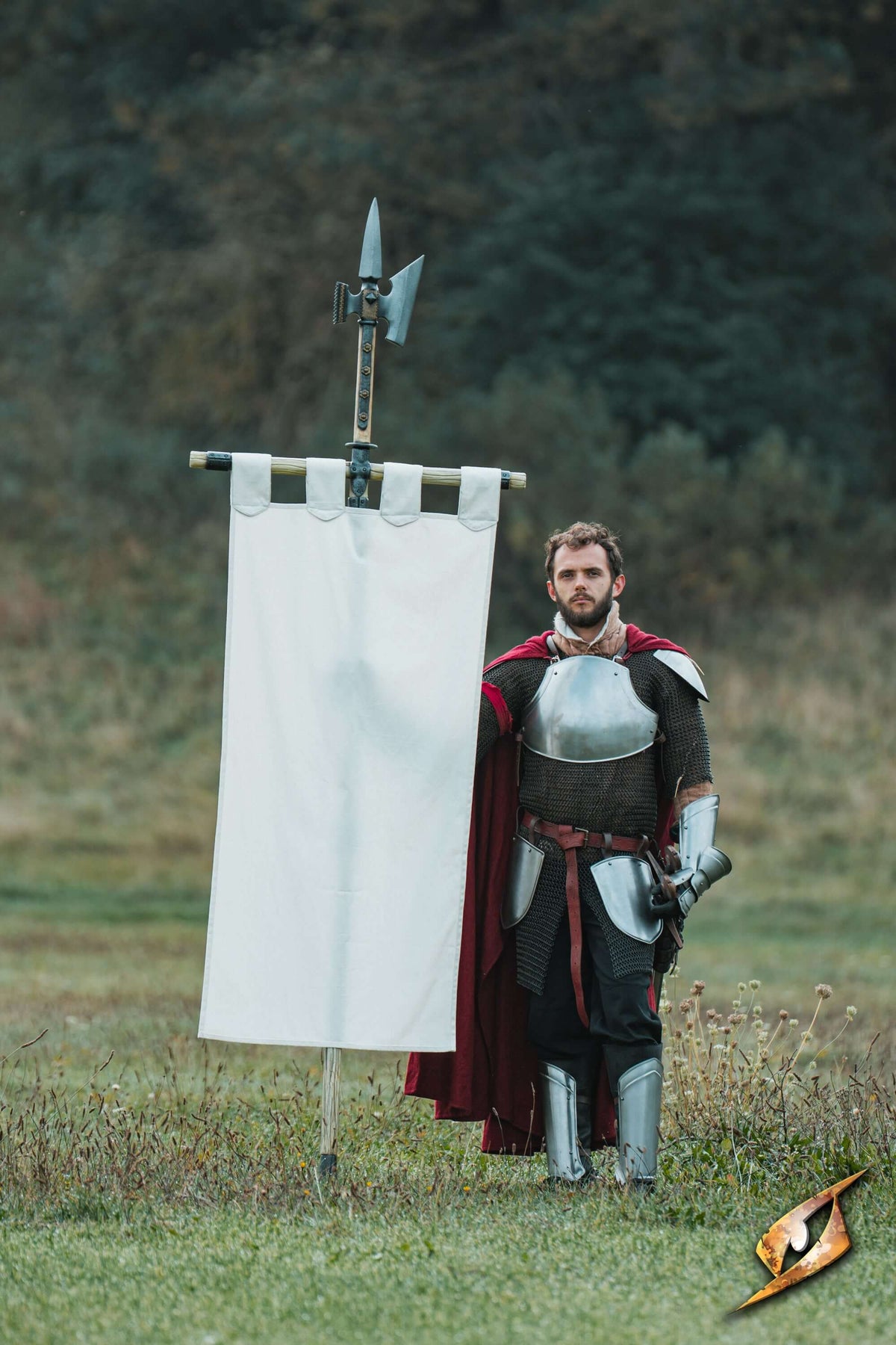 Complete Battle Standard Set - Halberd Top with a knight holding a flag on a battlefield.