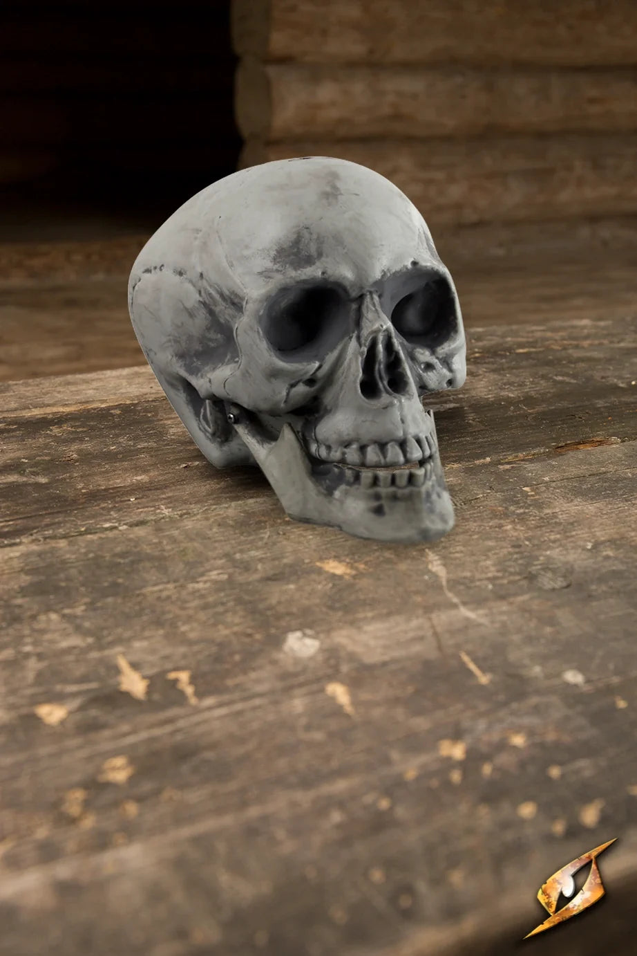 Skull 21 cm displayed on a rustic wooden surface, showcasing intricate details and textures.