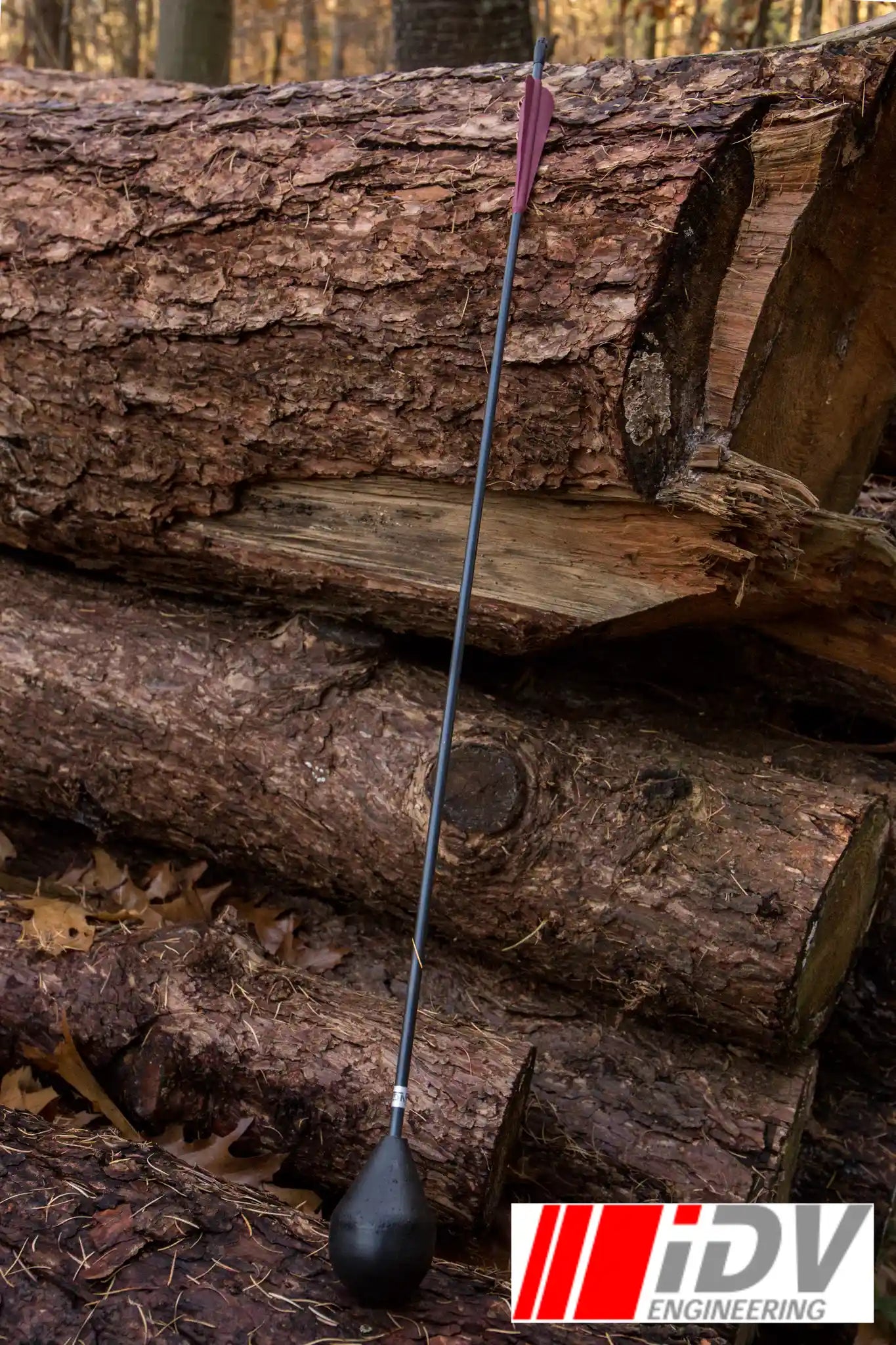 Arrow - Round Head - Black Shaft leaning against a stack of logs in a forest setting.