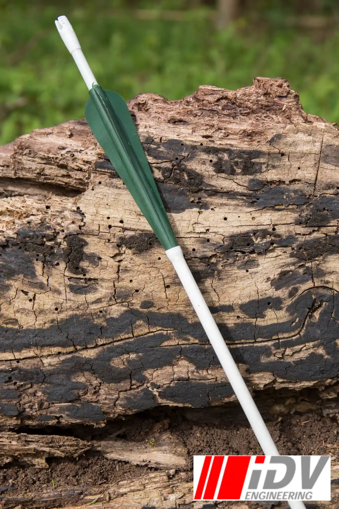 Arrow - Round Head - Sleeved resting on a rustic log in outdoor setting.