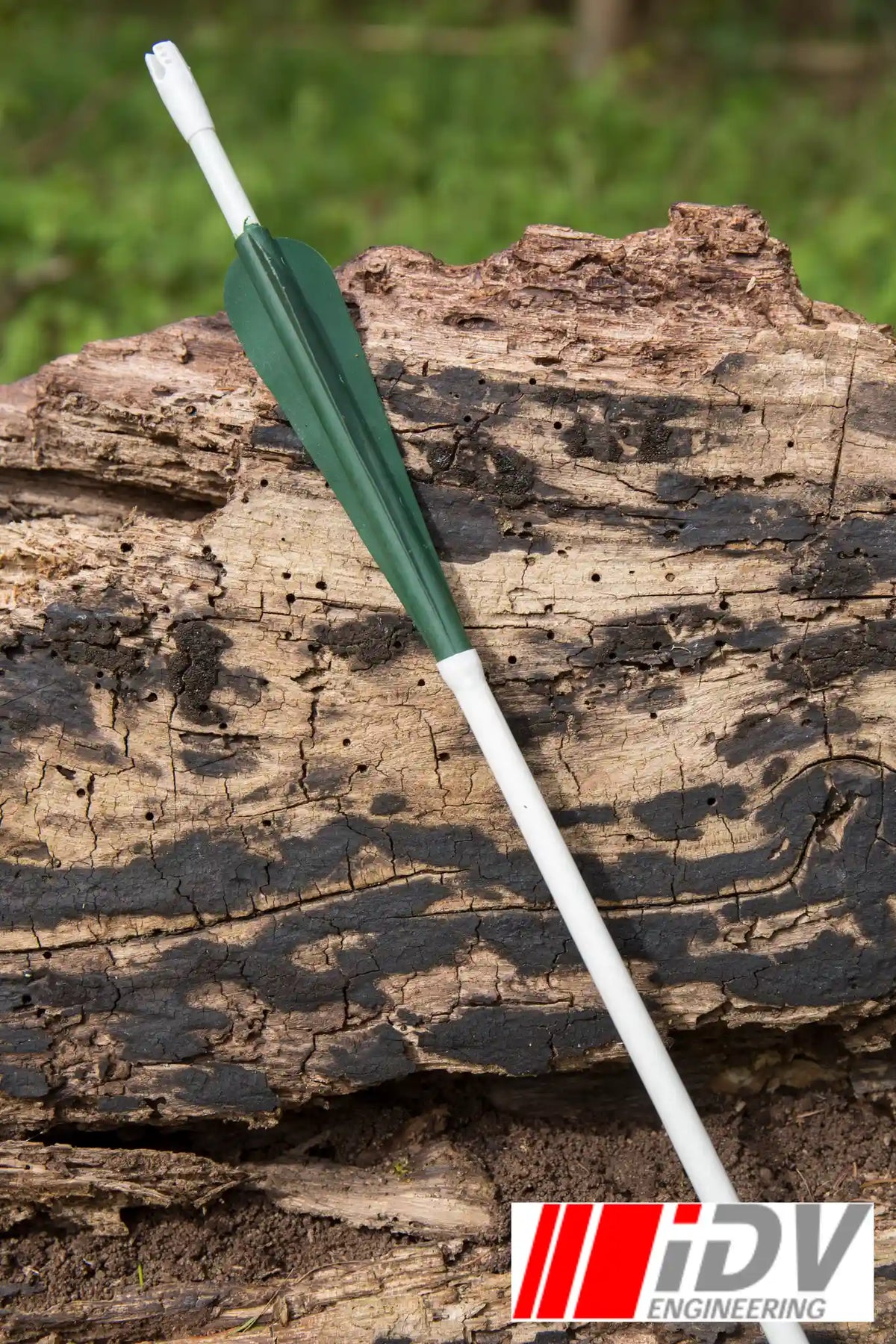 Arrow - Round Head - Sleeved resting on a rustic log in outdoor setting.