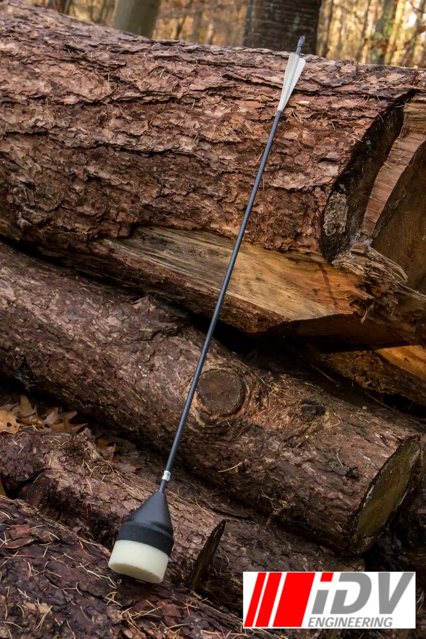Arrow - Flat Head - Black Shaft placed against a backdrop of logs in a natural setting.