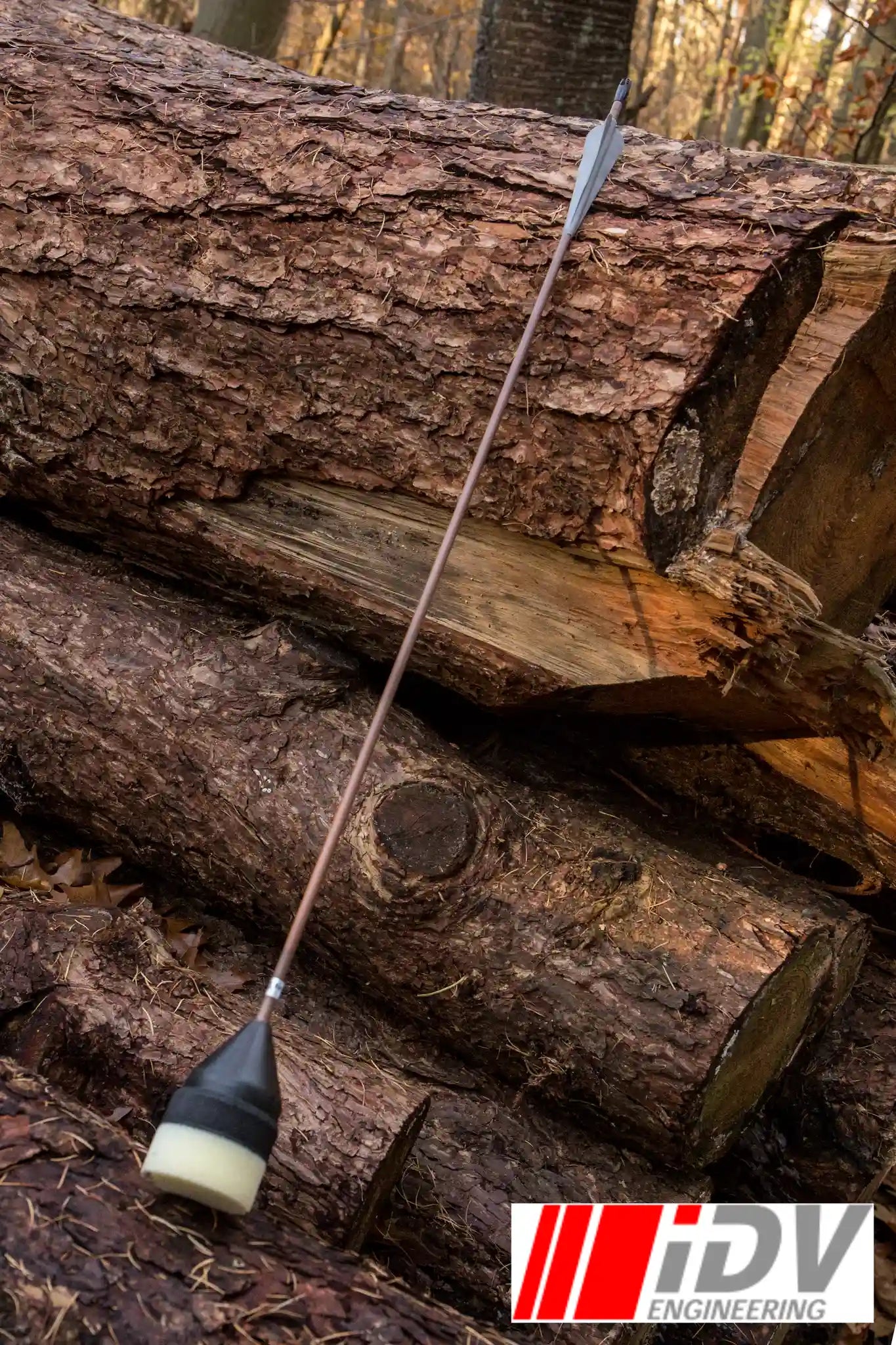 Arrow - Flat Head - Brown Shaft resting against chopped logs in a forest setting, showcasing its design and craftsmanship.