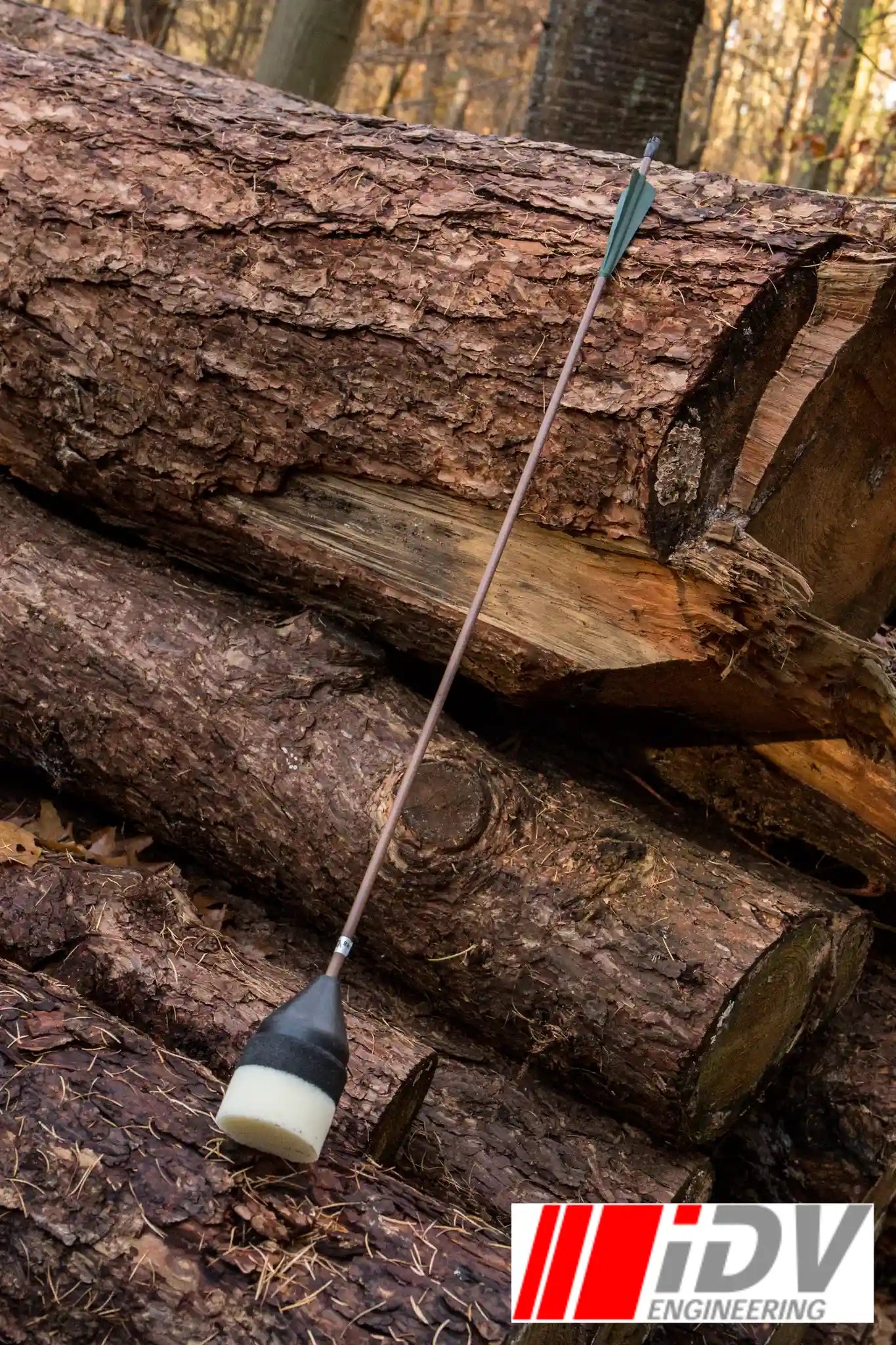 Arrow - Flat Head - Brown Shaft resting against logs in a forest setting, showcasing its design and features.