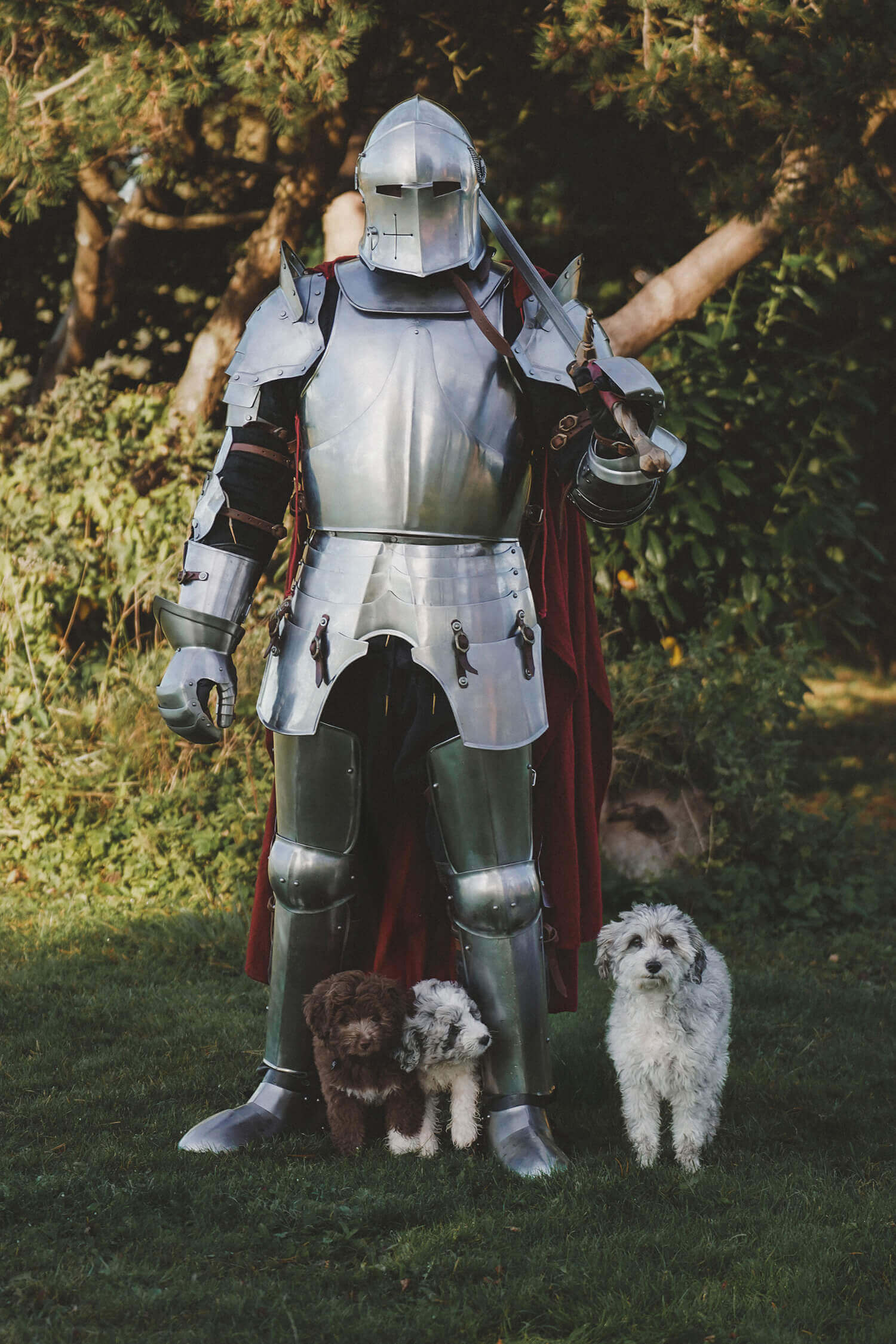 A person in shining Medieval Armour stands in a garden with two dogs.