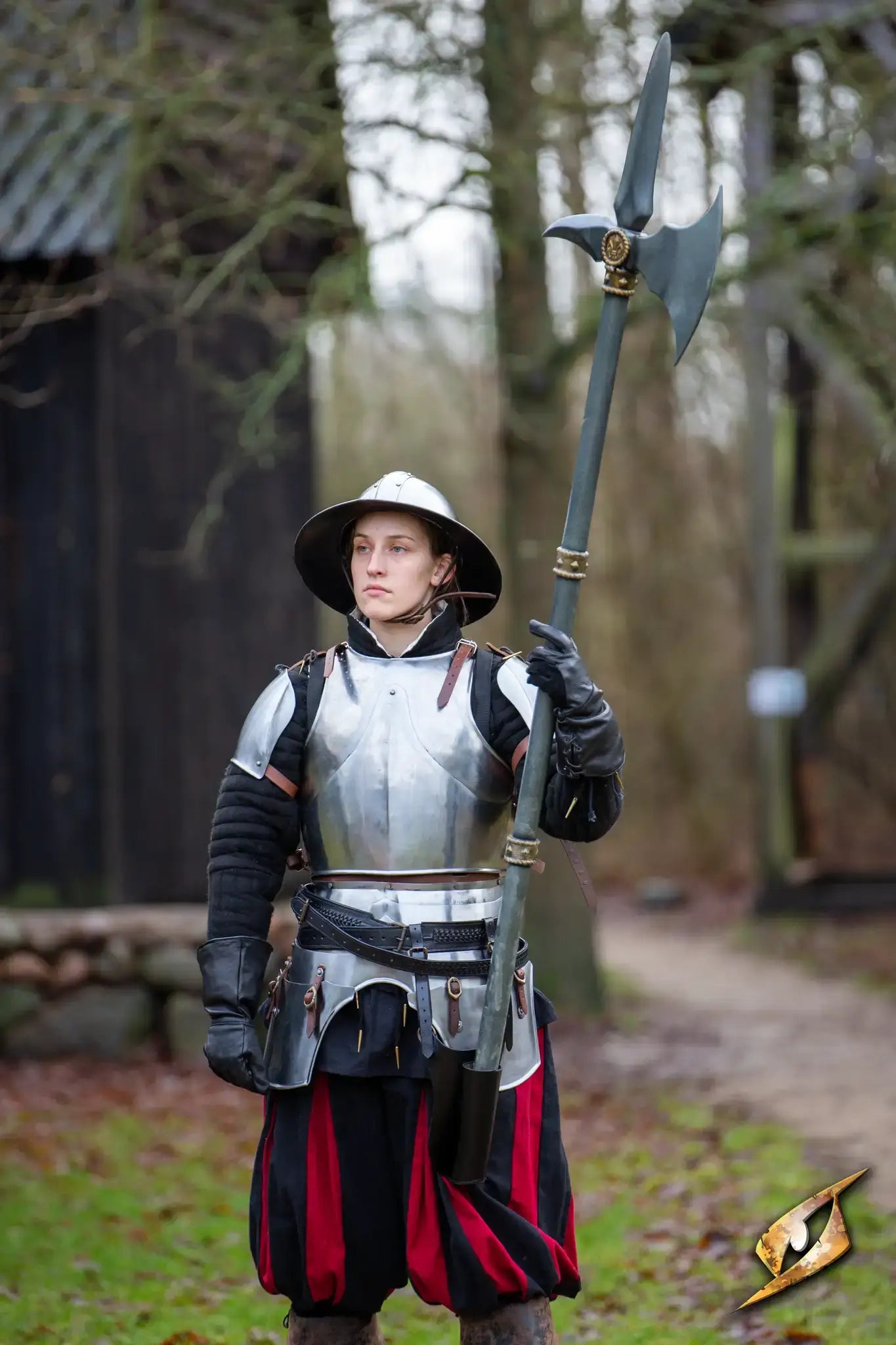 Polearms: A armored soldier standing with a polearm, showcasing tactical advantage in a skirmish setting.