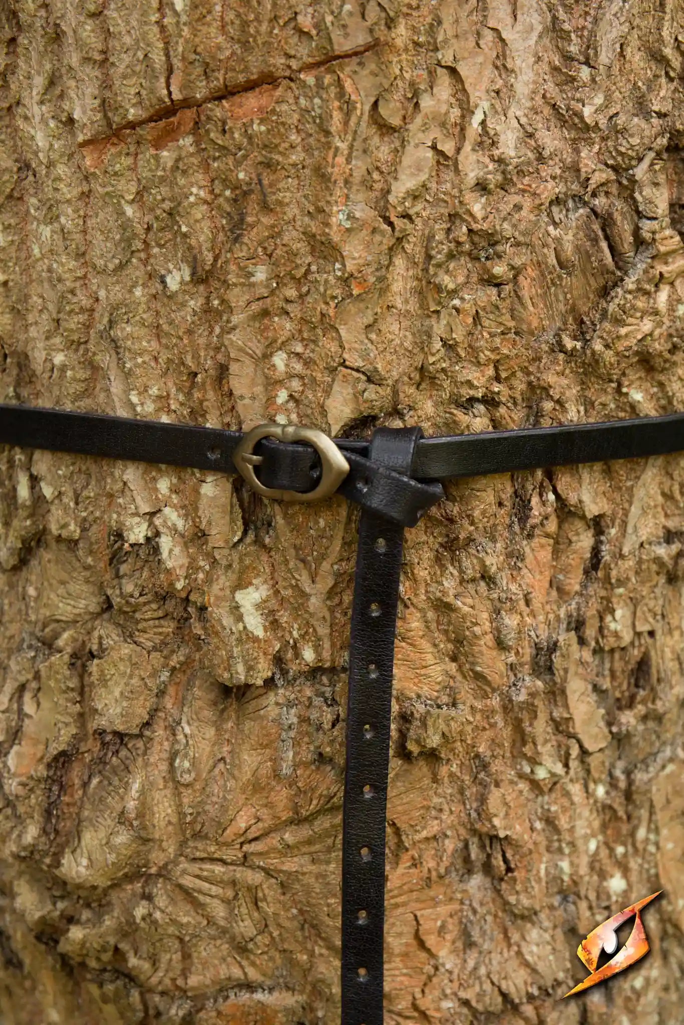 Belt Godfrey handcrafted brown leather belt wrapped around a tree trunk, showcasing its brass fittings and sturdy design.
