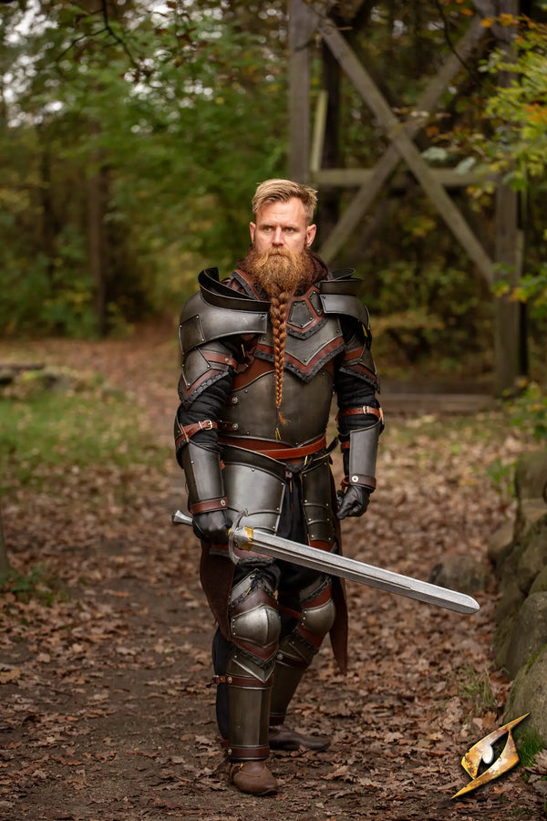 Rogue Complete Armour