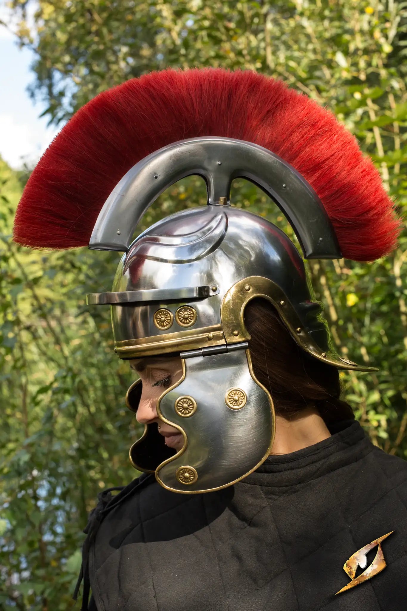 Roman Trooper. w Plume