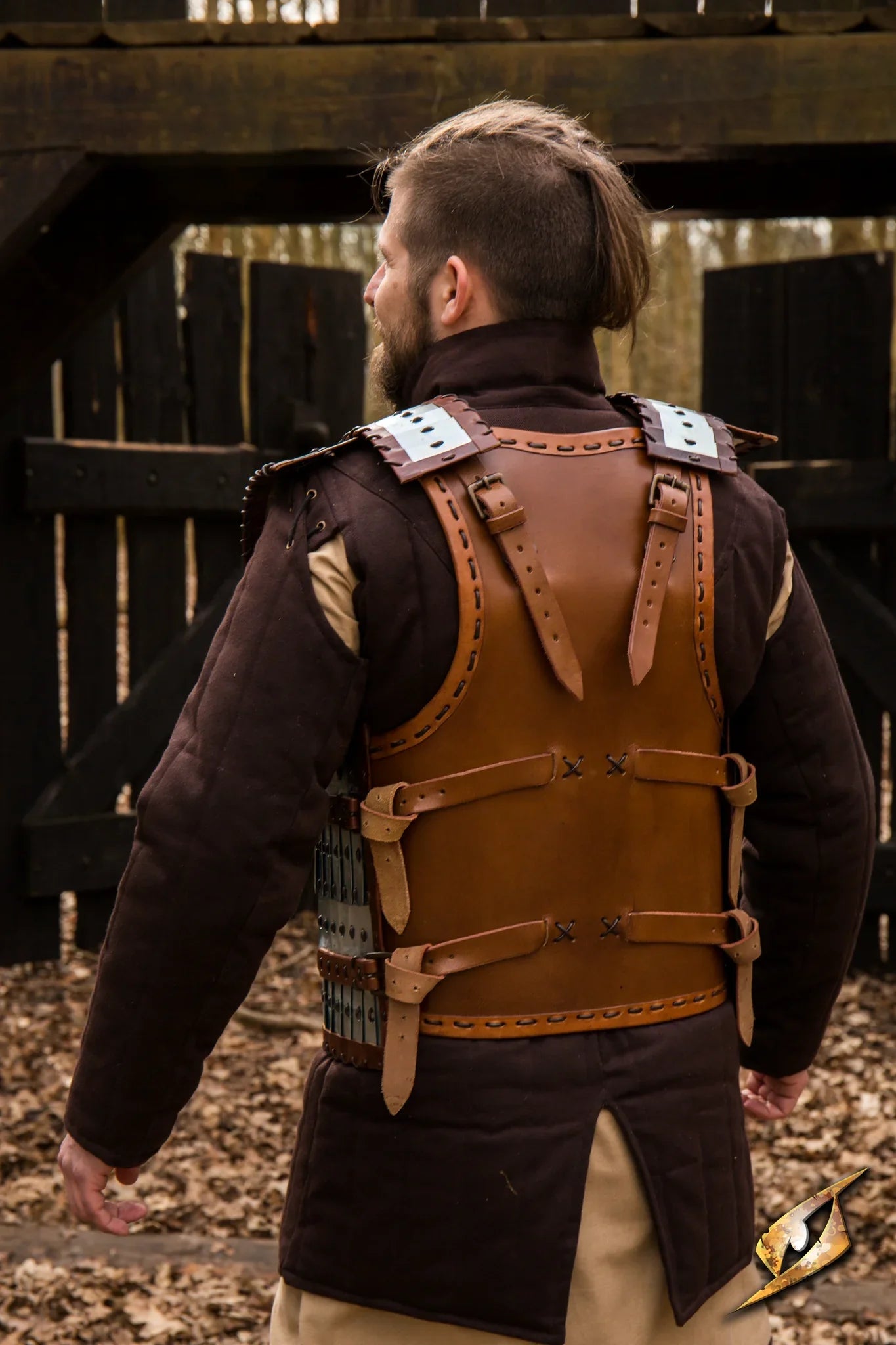 Viking Armour