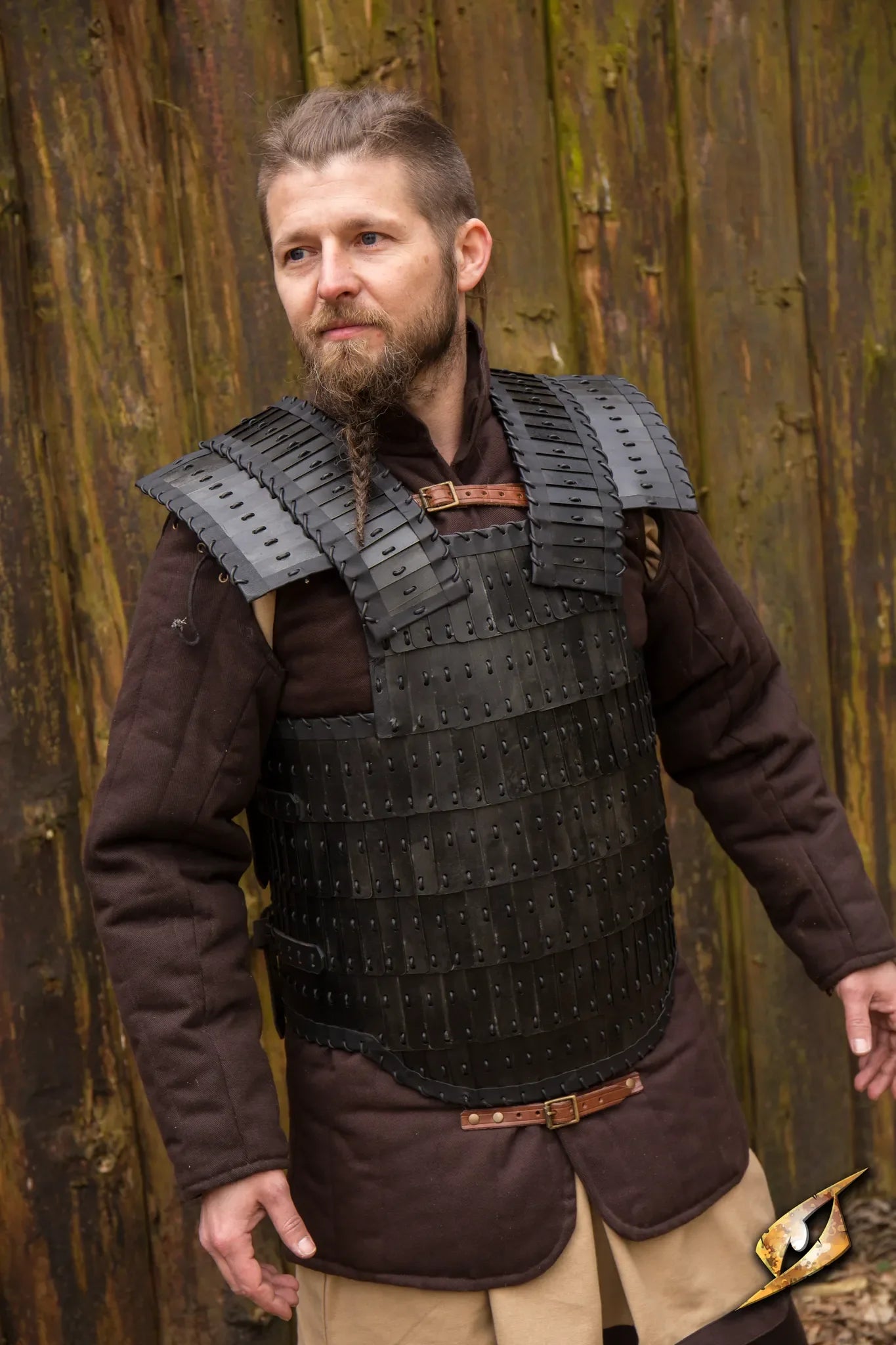 Viking Armour