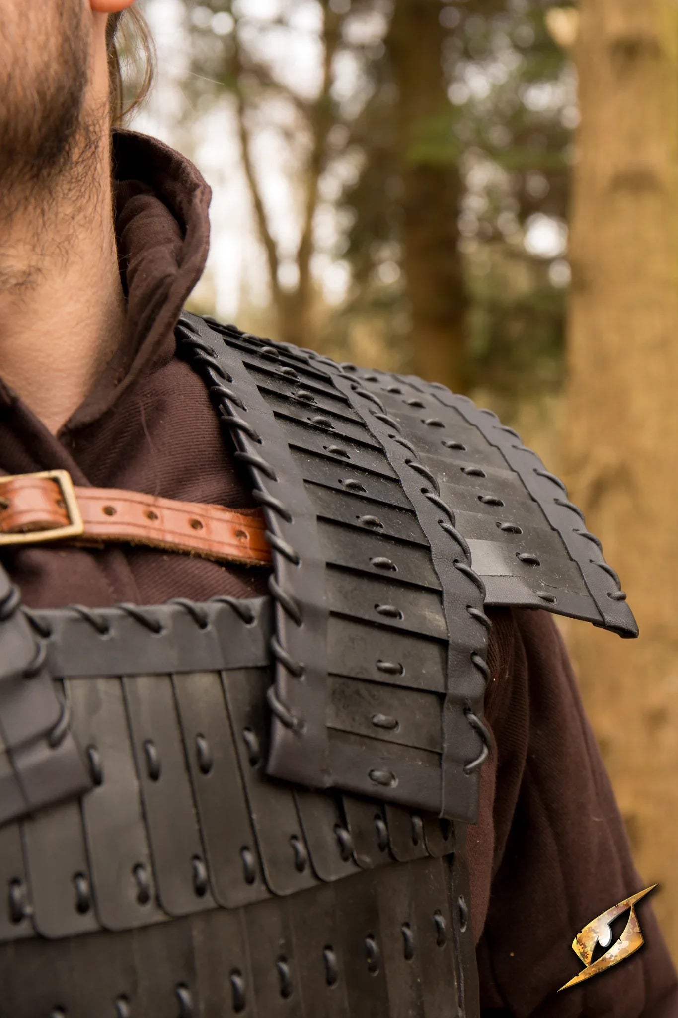 Viking Armour