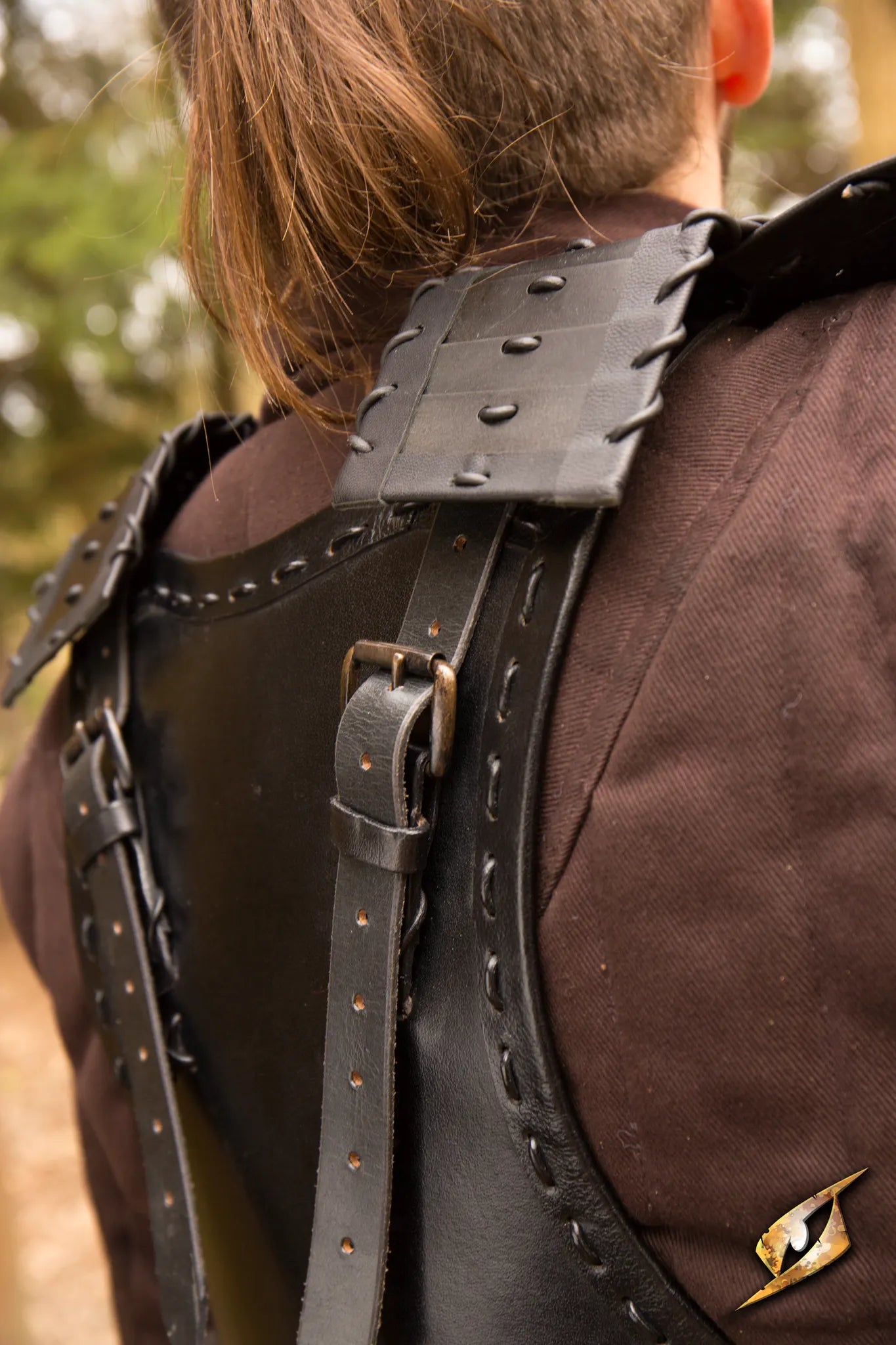 Viking Armour