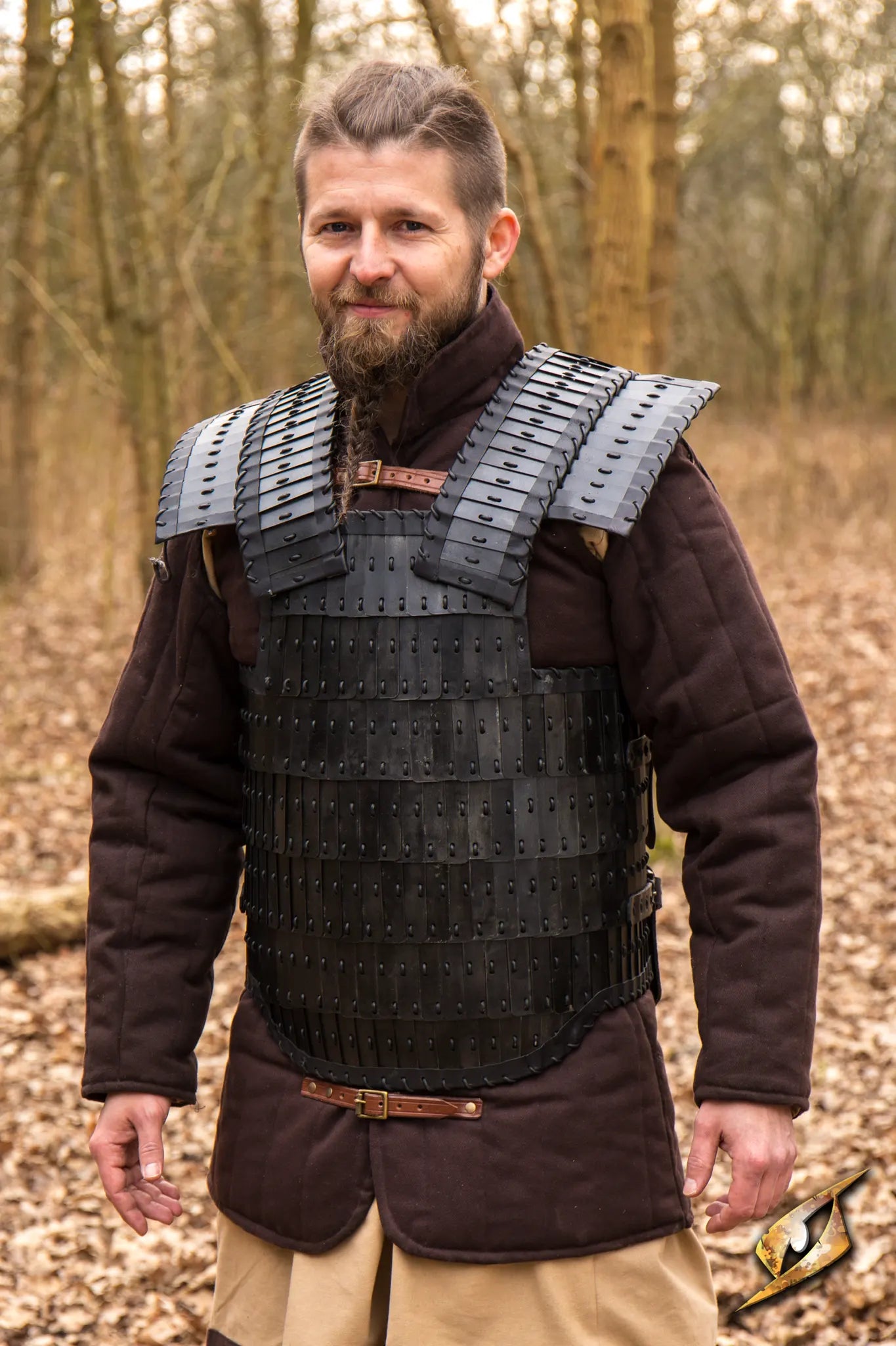 Viking Armour