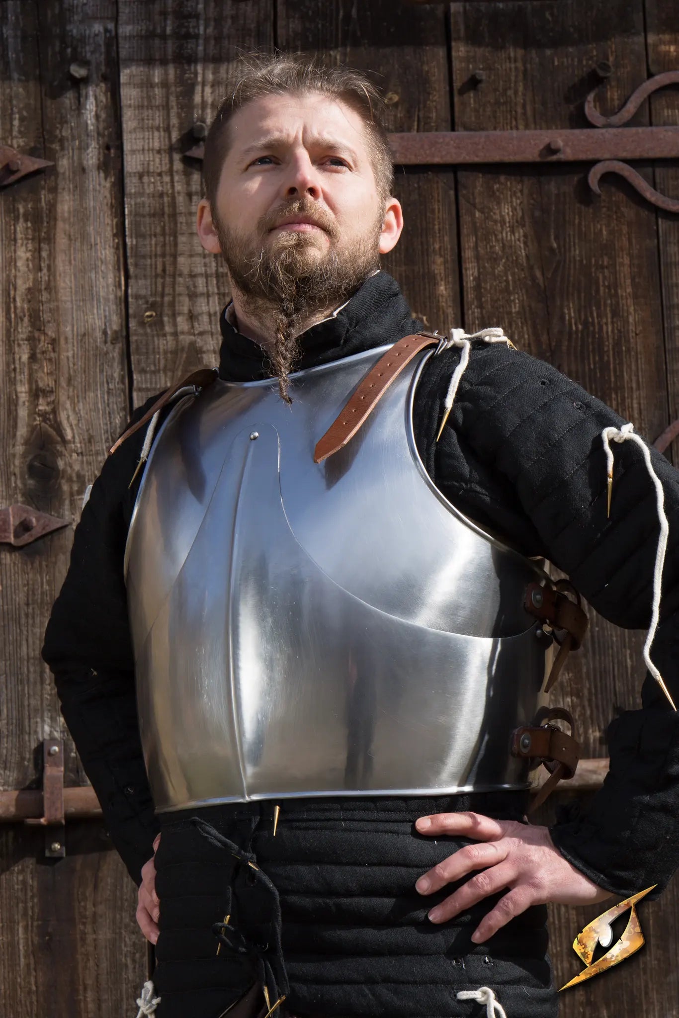 Milanese Armour