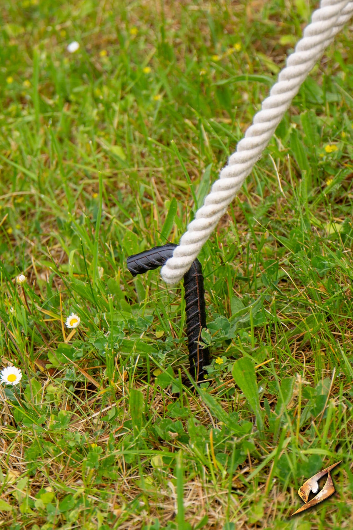 Iron Pegs