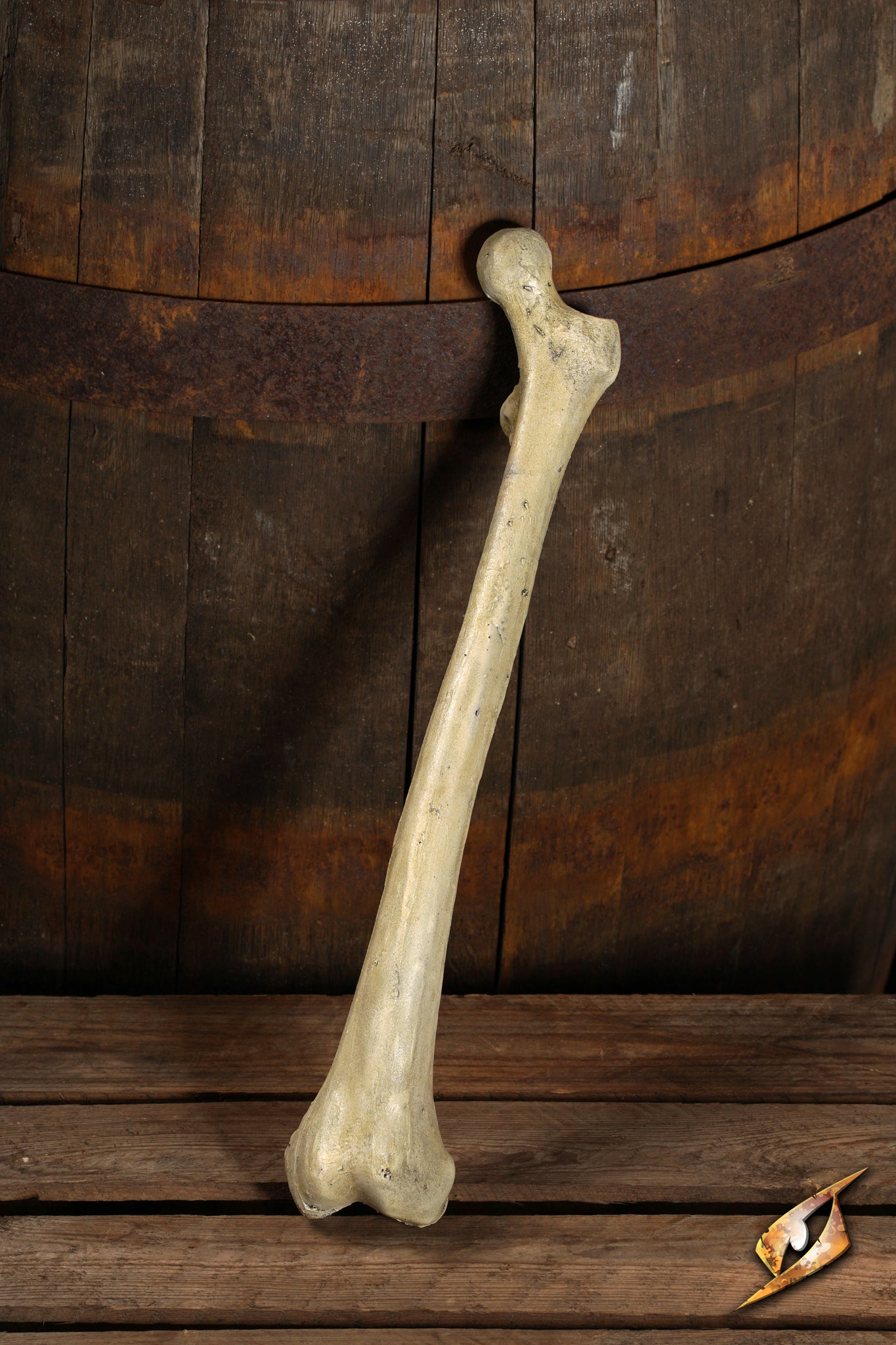 3292 04%20 %20Thigh%20Bone