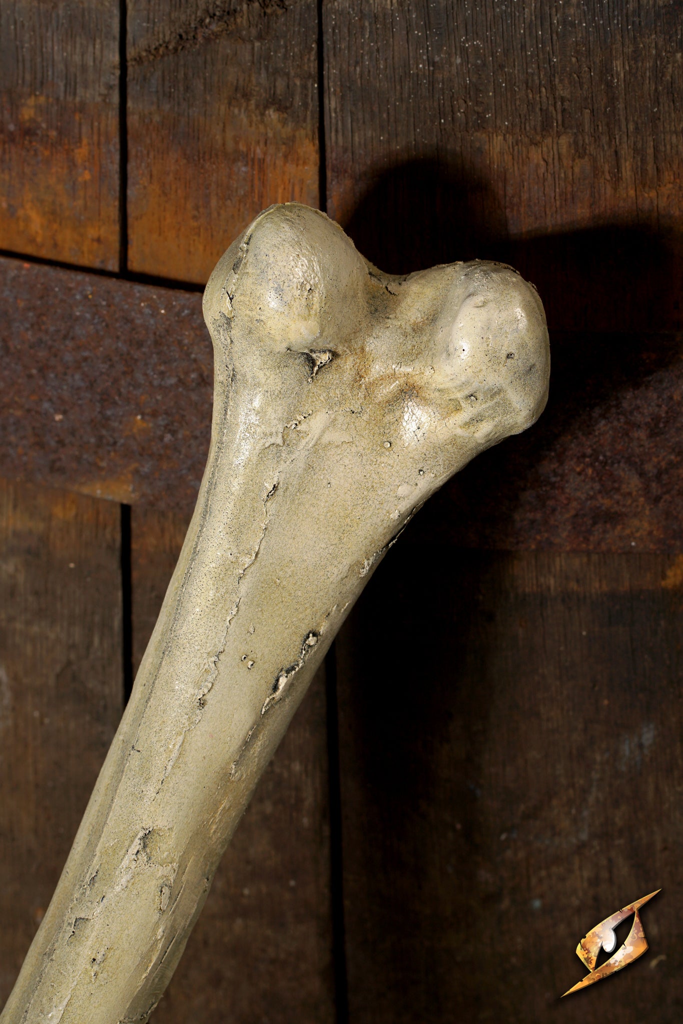 3292 06%20 %20Thigh%20Bone