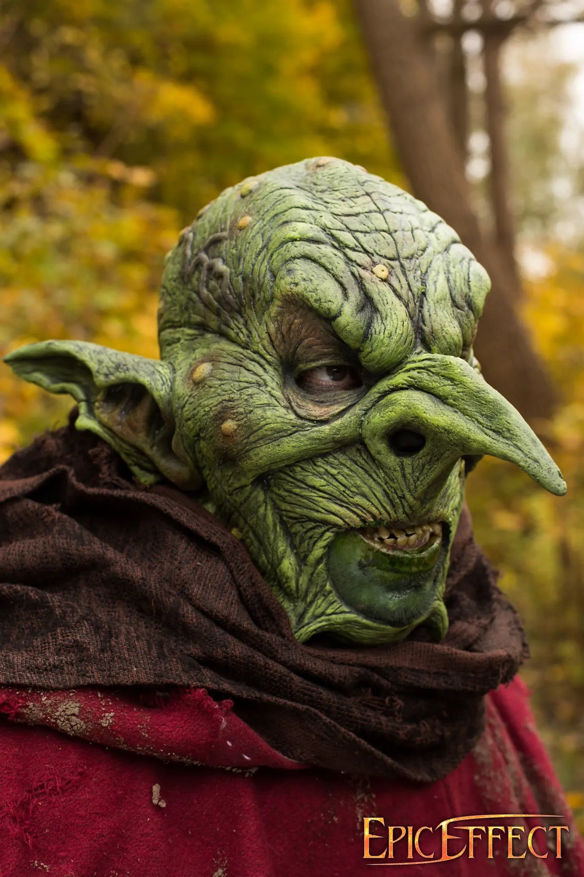 51420755