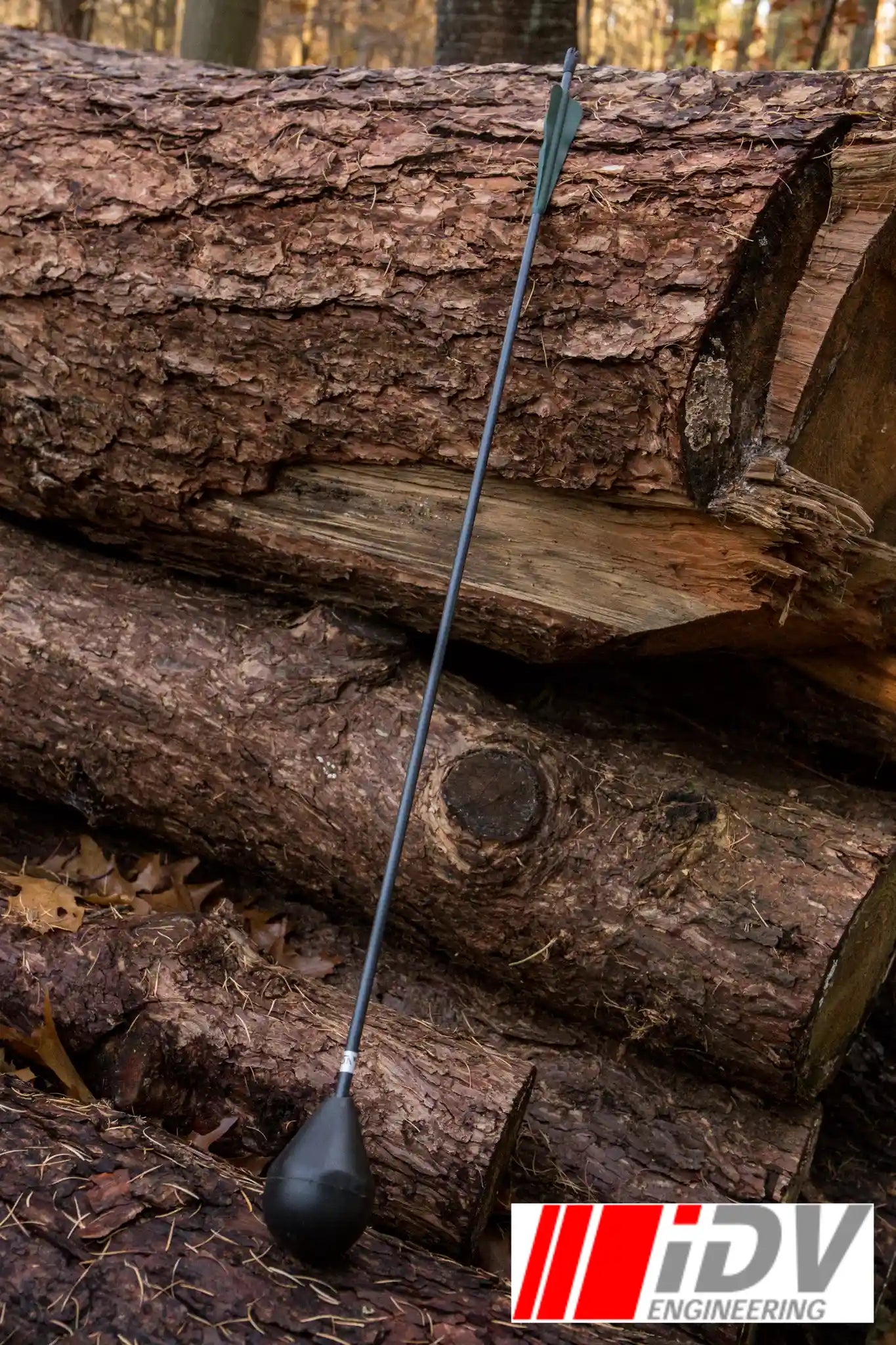 Arrow - Round Head - Black Shaft leaning against logs in a rustic forest setting.