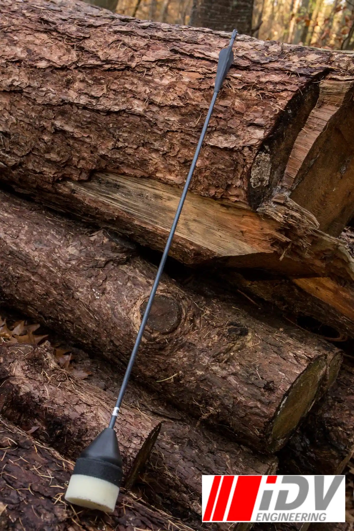 Arrow - Flat Head - Black Shaft resting on logs in a forest setting, showcasing its sleek design and functionality.
